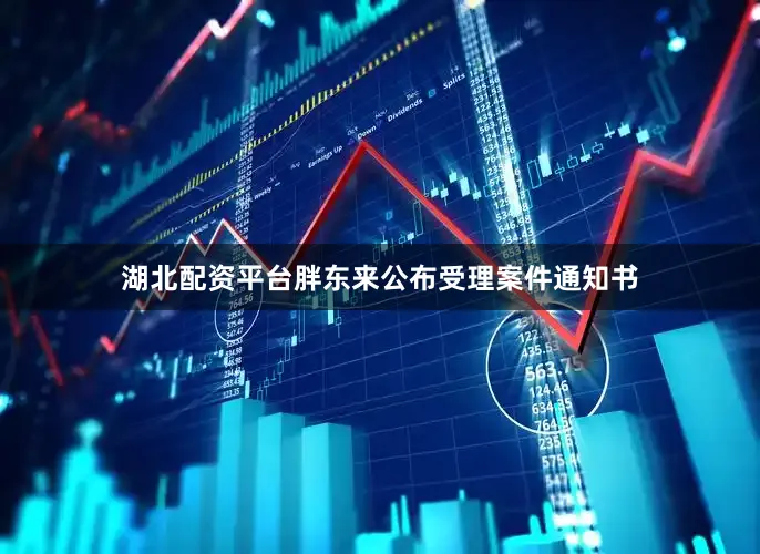 湖北配资平台胖东来公布受理案件通知书