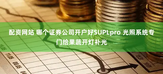 配资网站 哪个证券公司开户好SUPLpro 光照系统专门给果蔬开灯补光