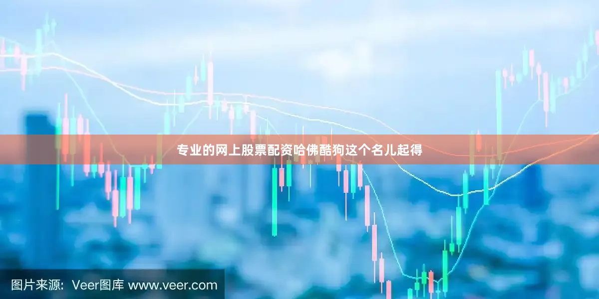 专业的网上股票配资哈佛酷狗这个名儿起得